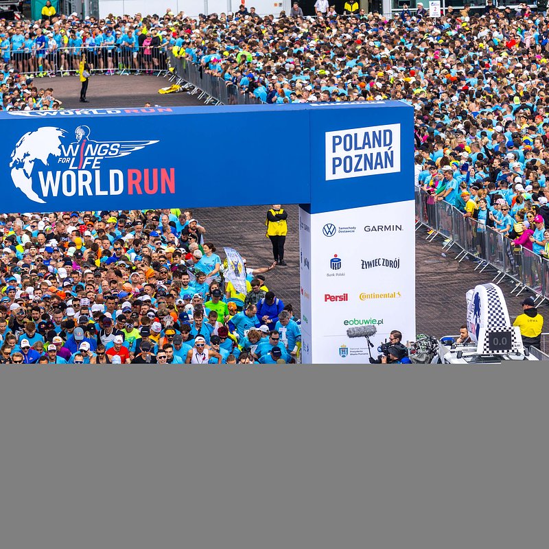 Start biegu Wings for Life World Run w Poznaniu, fot. Damian Kramski.jpg