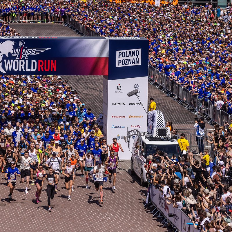 Start 13. edycji biegu Wings for Life World Run, fot. Damian Kramski.jpg
