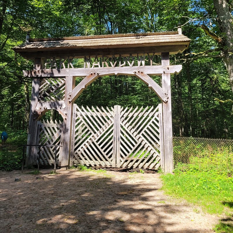 20250811_133405.jpg