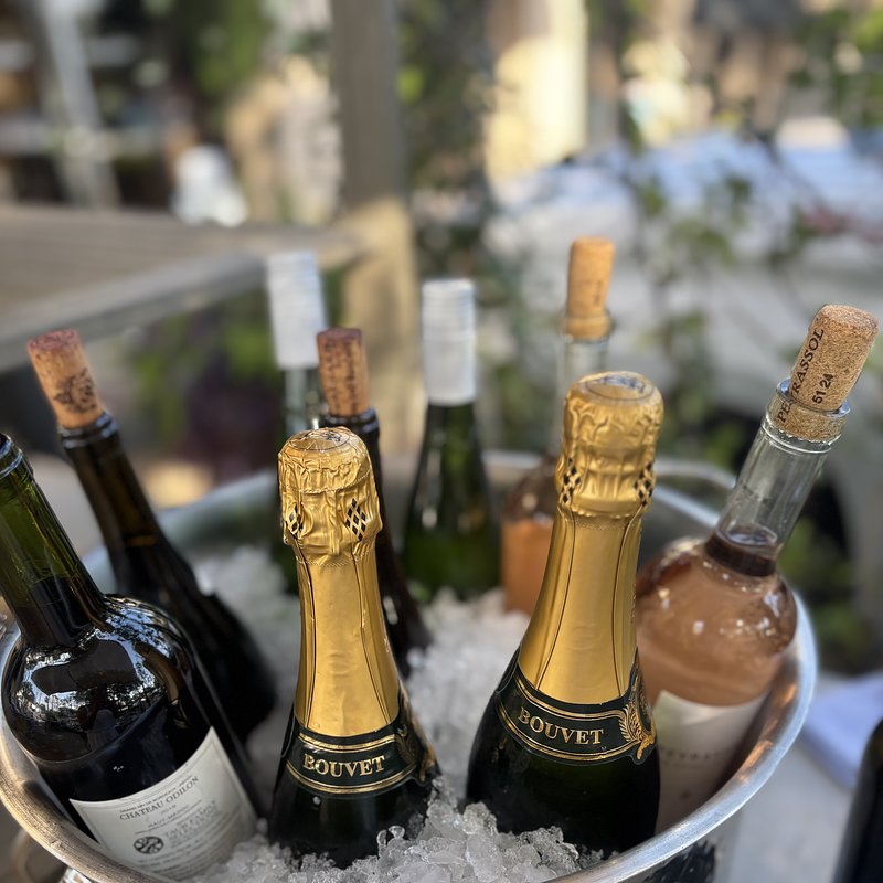 Photo Aug 14 2025, 6 17 17 PM.jpg