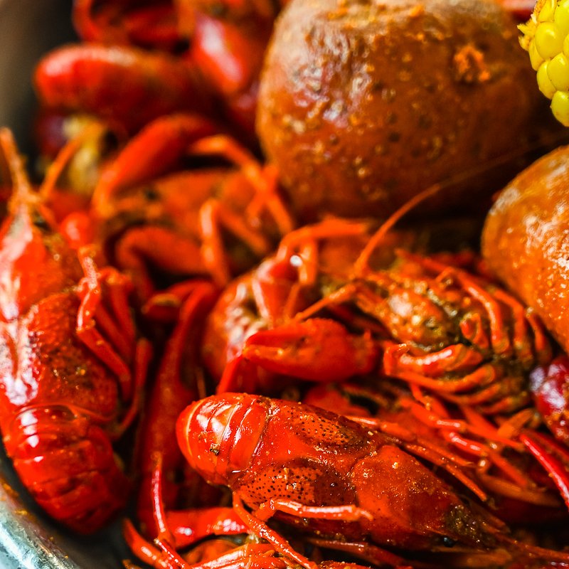 Crawfish1.jpg