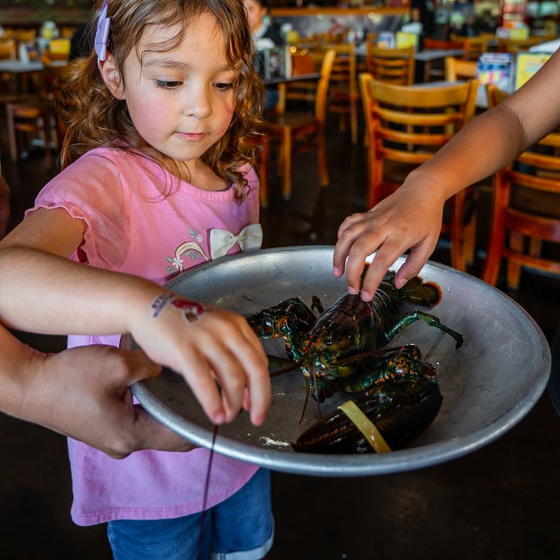 Kids with Lobster1.jpg