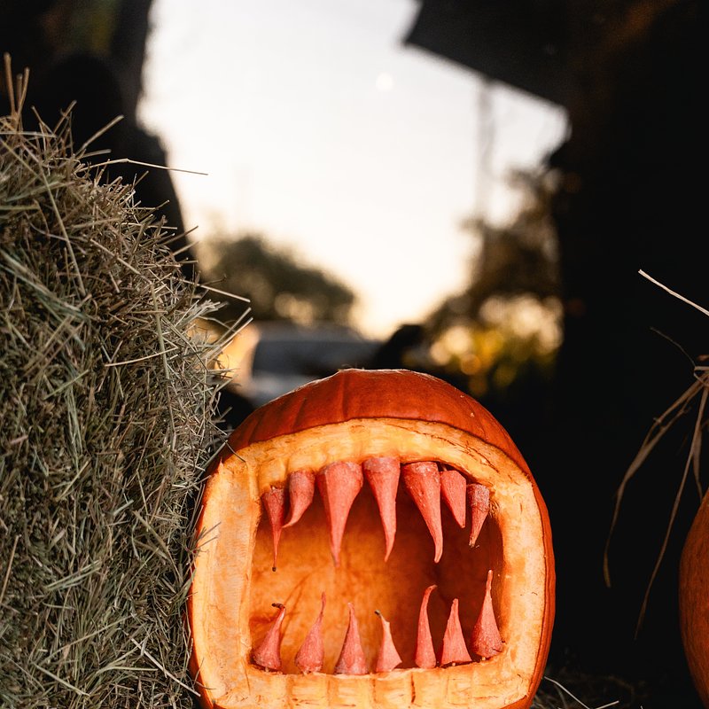 Clementine-Hallowen-Community-Pumpkin-Carving-Contest-3.jpg