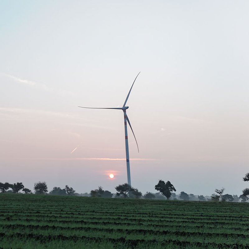 Blueleaf_Energy-Pachora_Hybrid_Power_Project-India-4.jpg