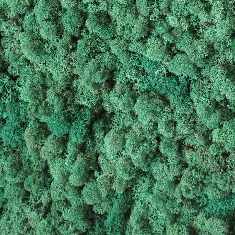 BENETTI MOSS_Ocean.jpg