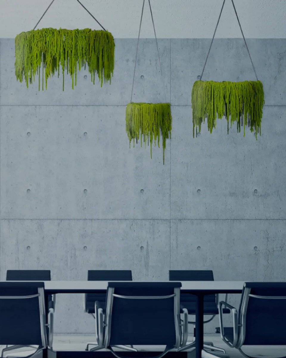 Benetti (h)air and sky.jpg