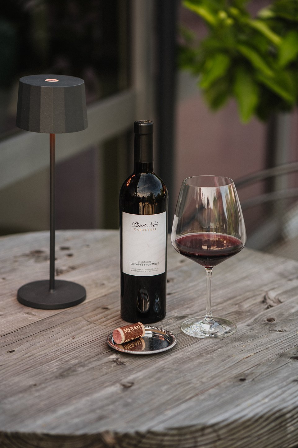 das stachelburg_Wine (5).jpg