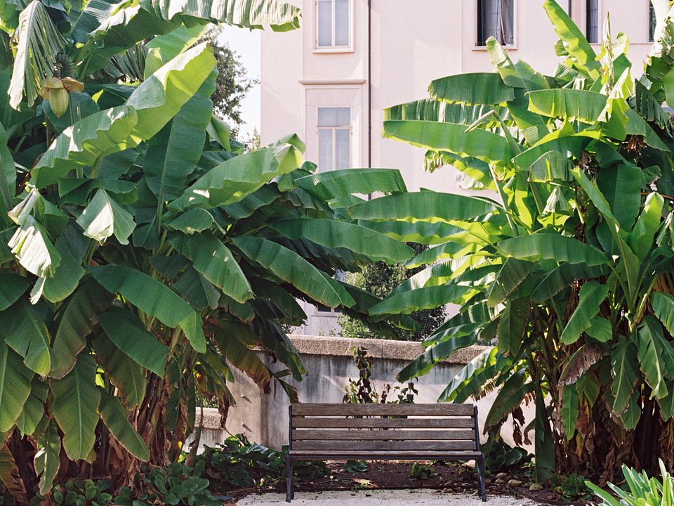 Architettura Tommasi_I Giardini della Rotonda_ Ph. Marcello Mariana (8).jpg