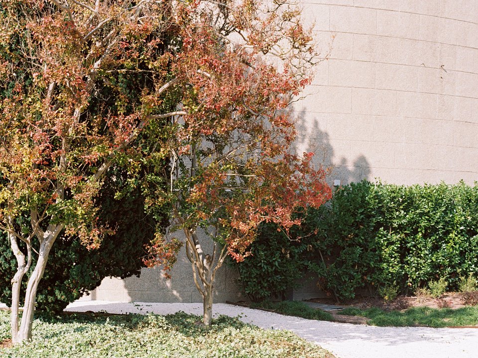 Architettura Tommasi_I Giardini della Rotonda_ Ph. Marcello Mariana (10).jpg