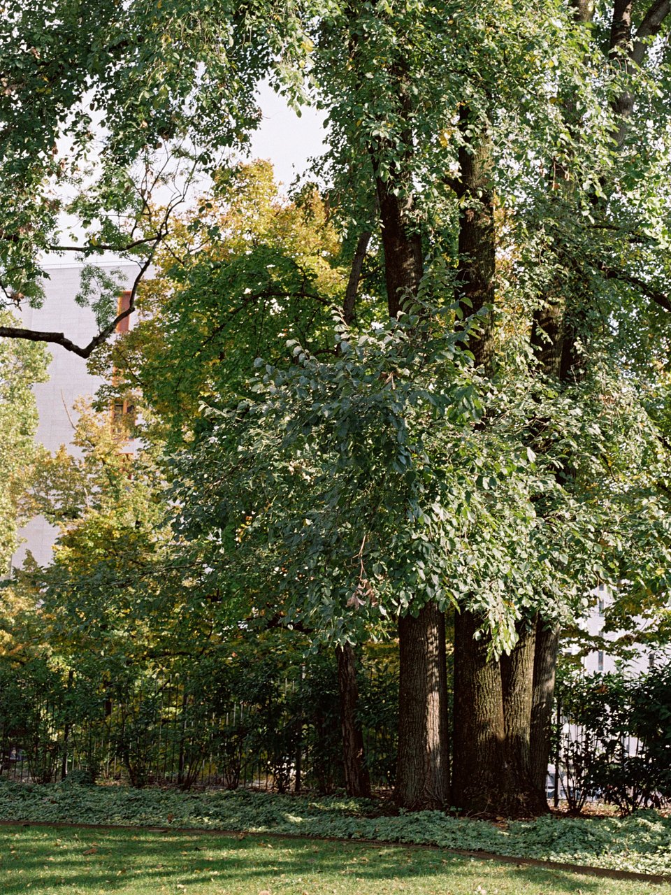 Architettura Tommasi_I Giardini della Rotonda_ Ph. Marcello Mariana (12).jpg
