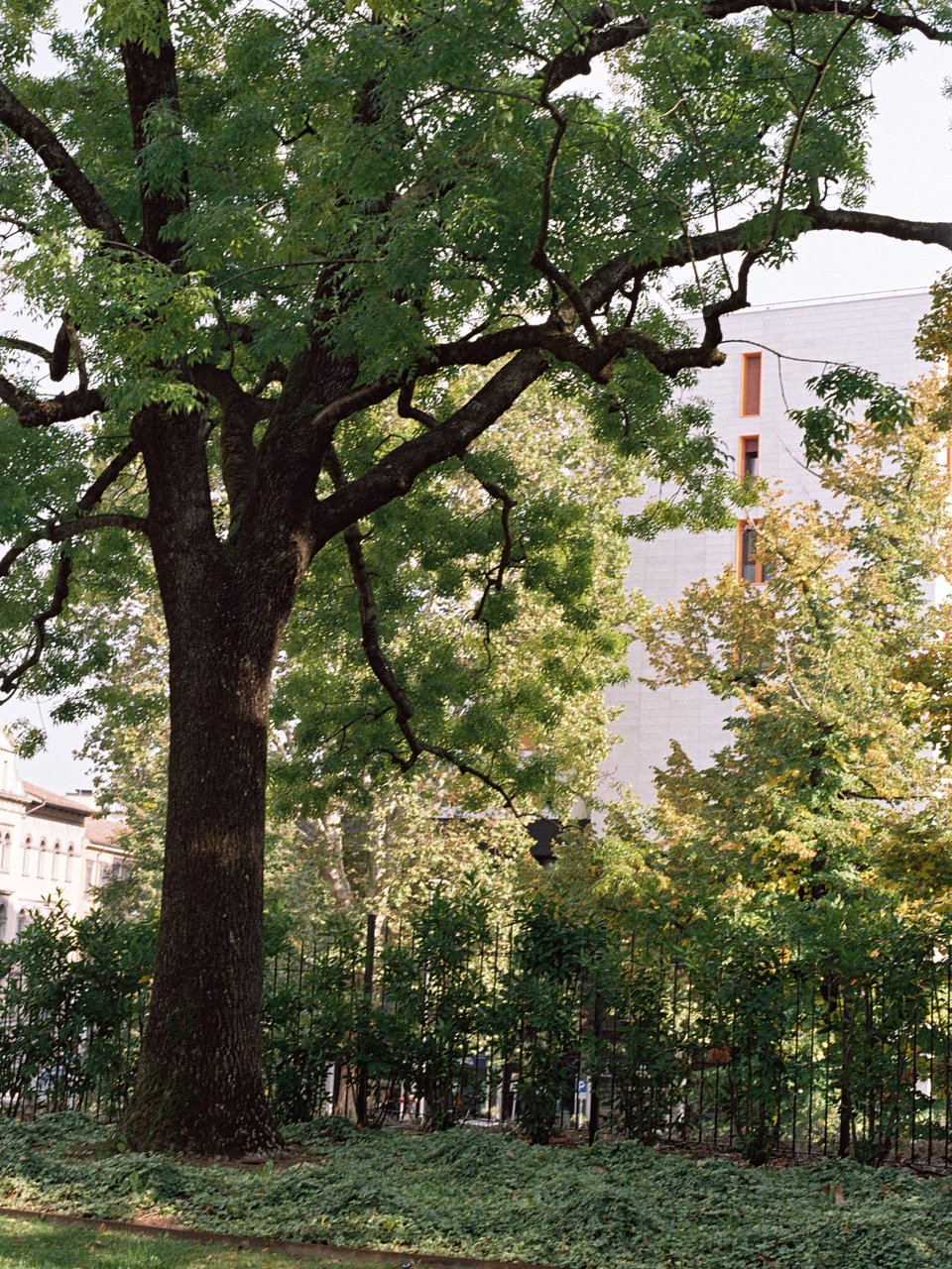 Architettura Tommasi_I Giardini della Rotonda_ Ph. Marcello Mariana (13).jpg