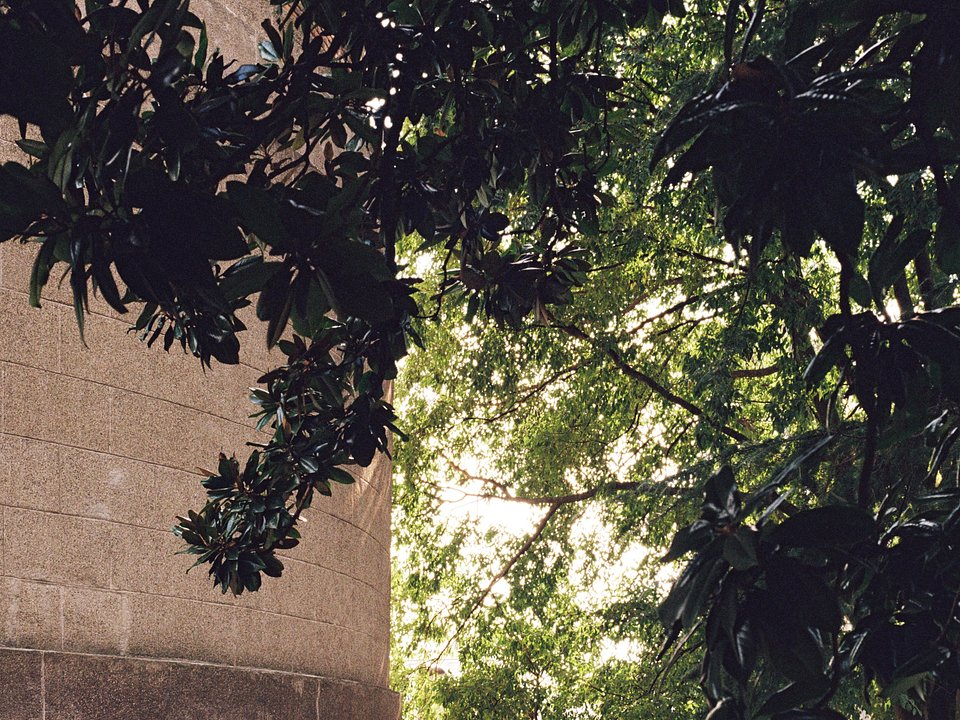Architettura Tommasi_I Giardini della Rotonda_ Ph. Marcello Mariana (15).jpg
