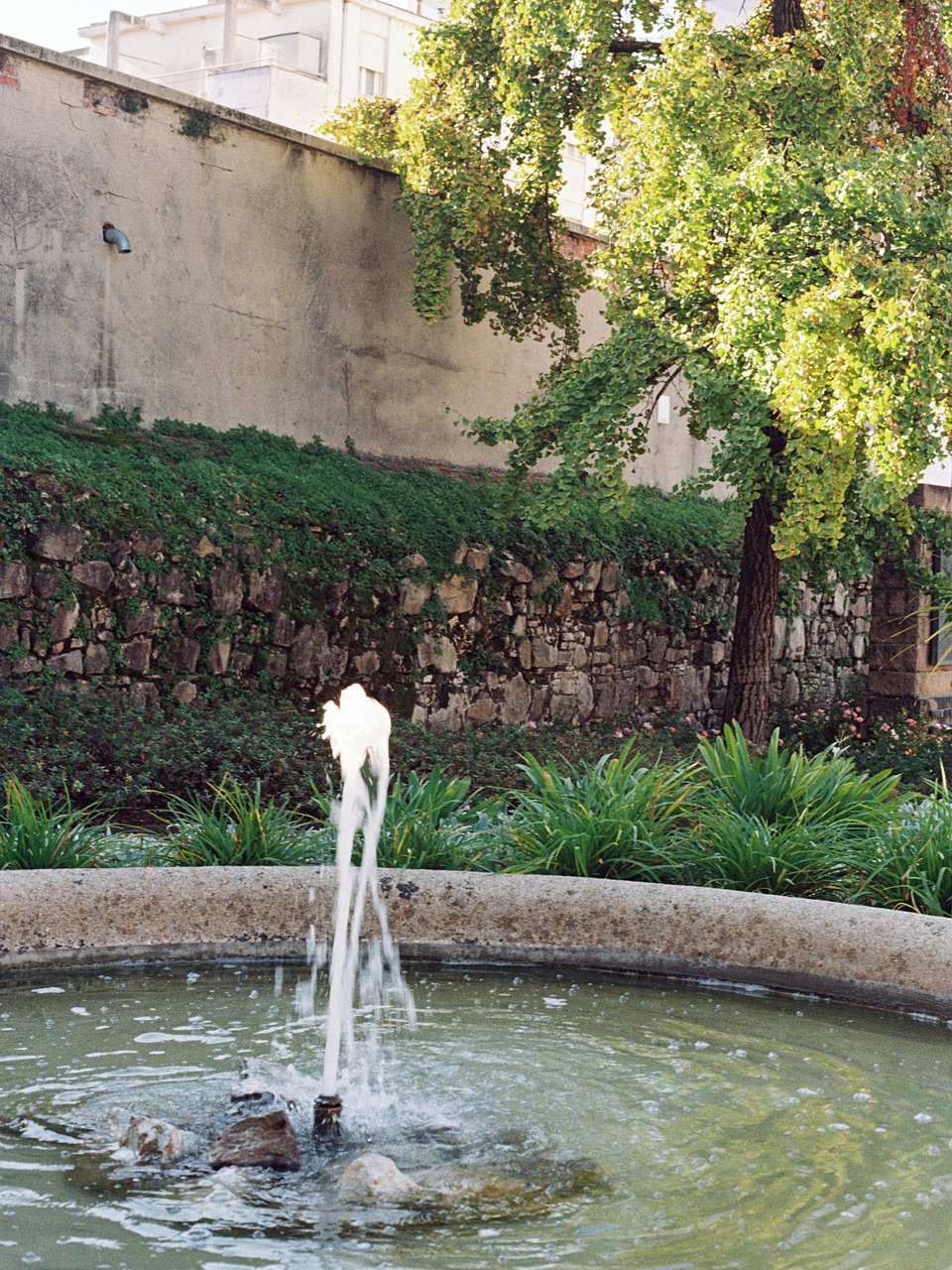 Architettura Tommasi_I Giardini della Rotonda_ Ph. Marcello Mariana (18).jpg