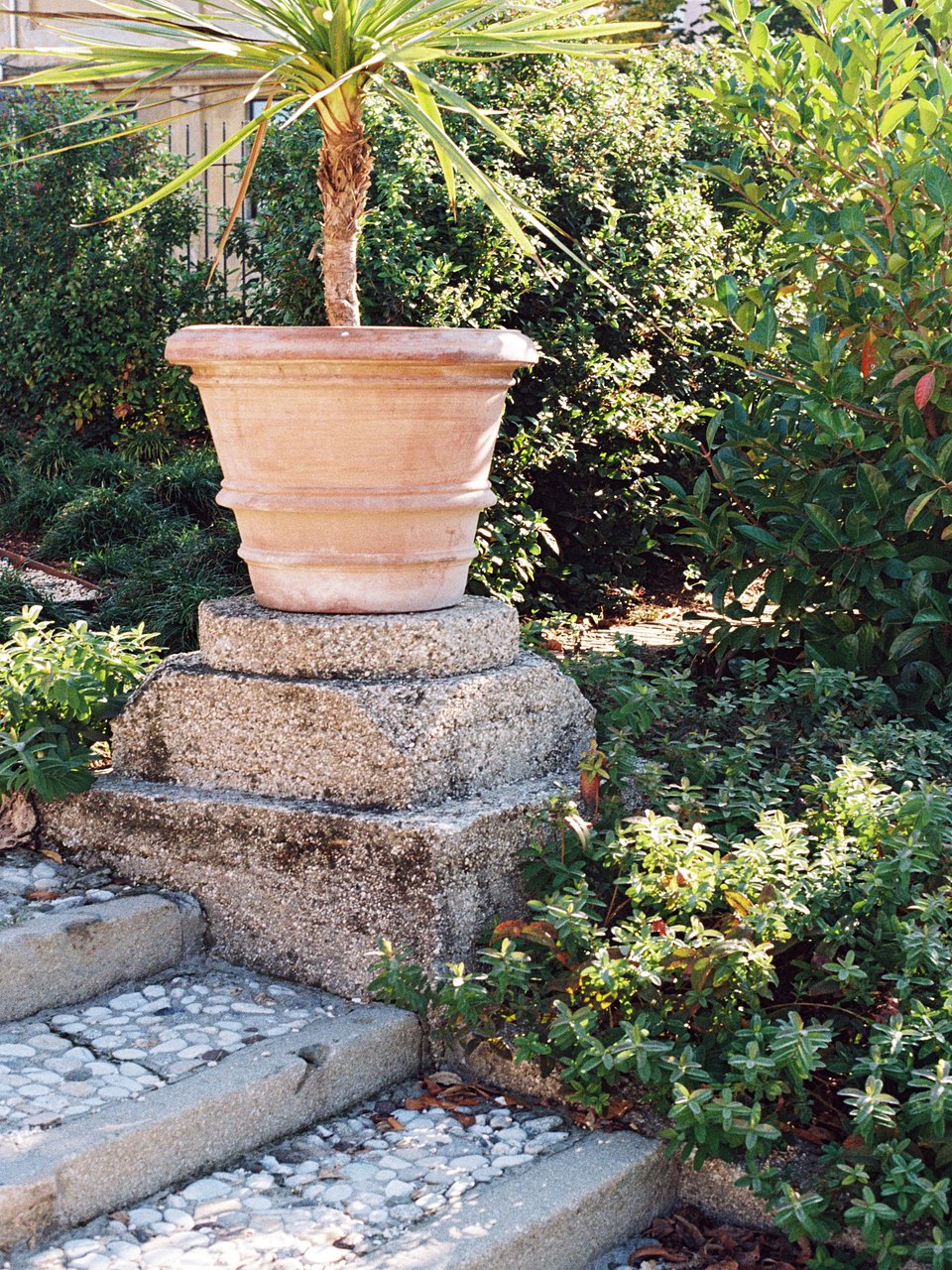 Architettura Tommasi_I Giardini della Rotonda_ Ph. Marcello Mariana (22).jpg