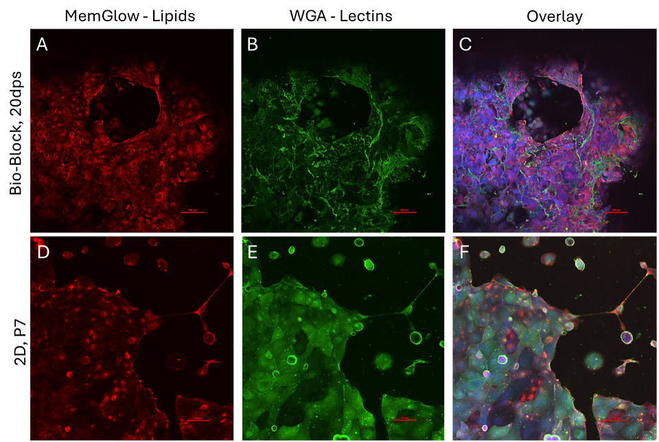 Figure 6.png