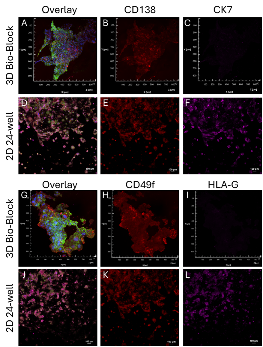 Figure 7.png