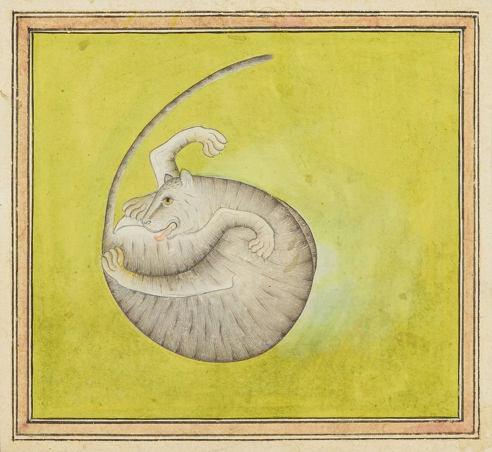 Lot 334: A painting of a striped cat grooming, Probably Basohli, Rajasthan, north India, circa 1730
Estimate: £1,000 - £1,500