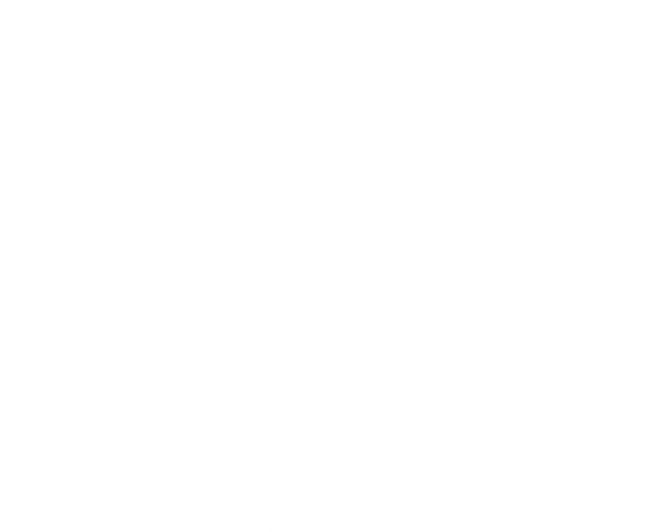LANDR-LOGO_2025_Light.png