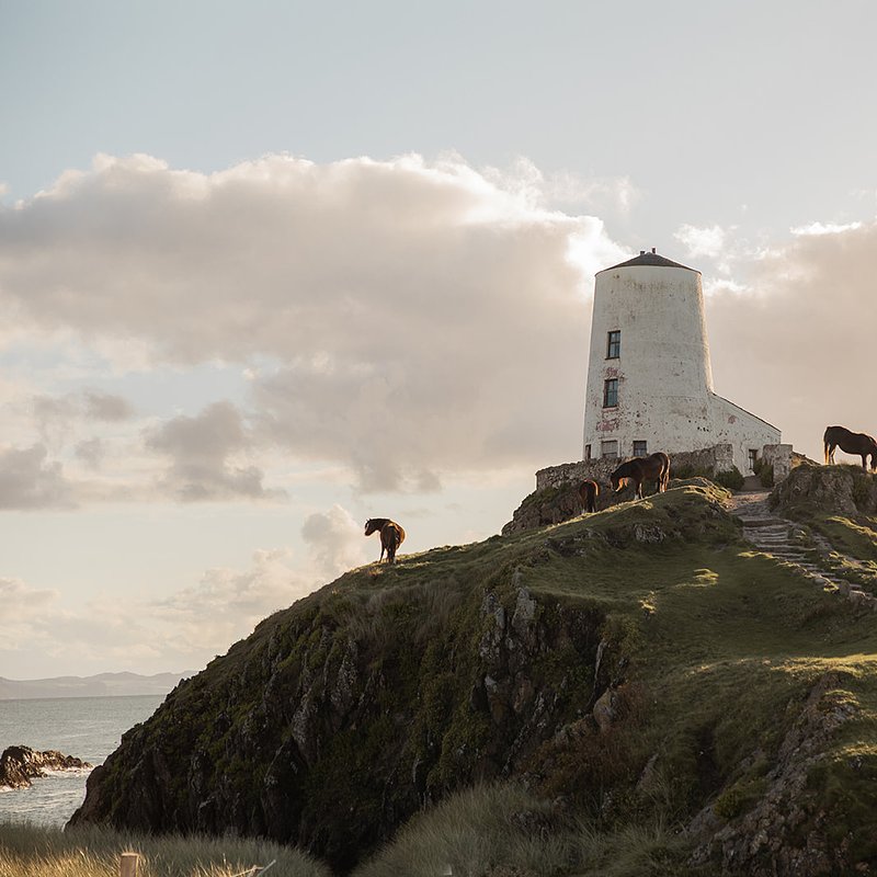 Nook and Key Escapes - Fran Mart-235 (2).jpg