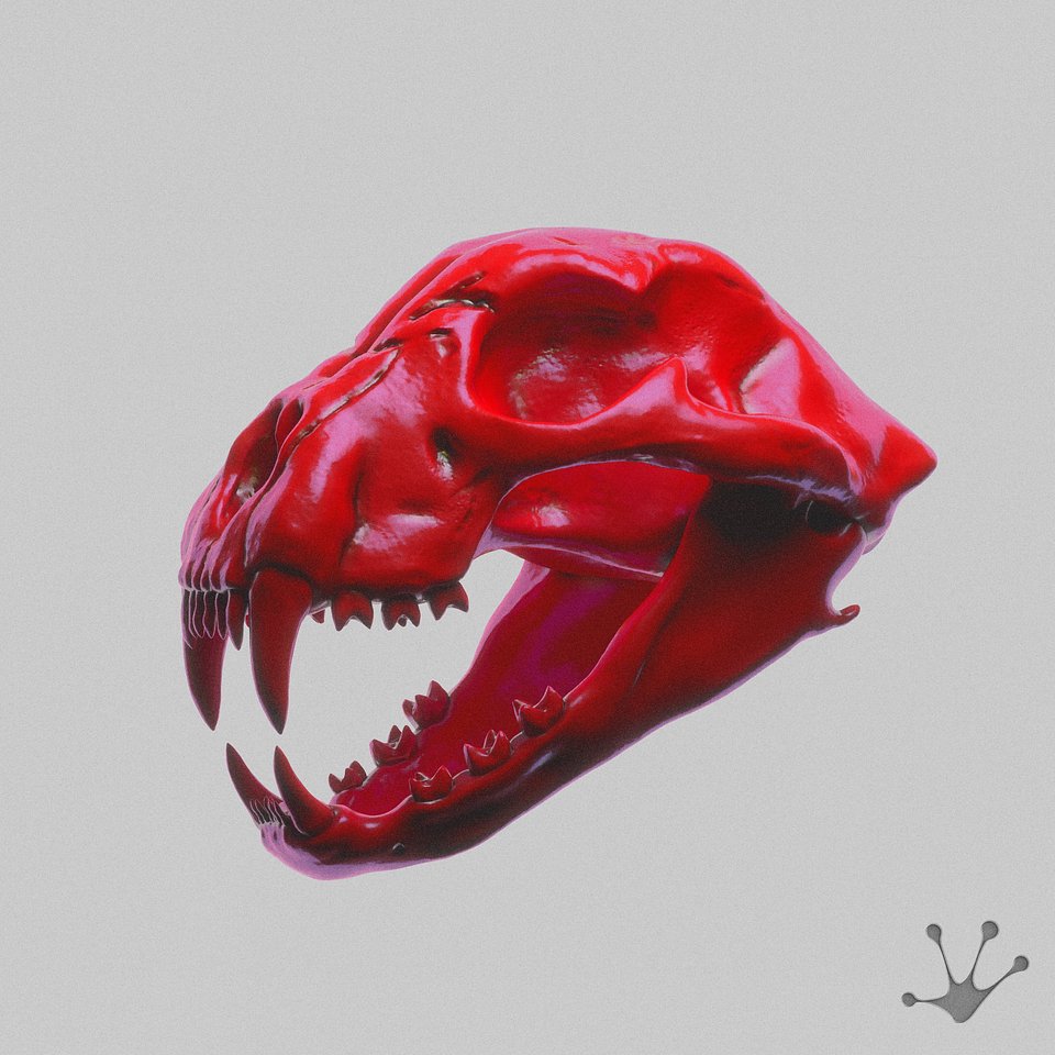 FT-VOODOO-V3.jpg