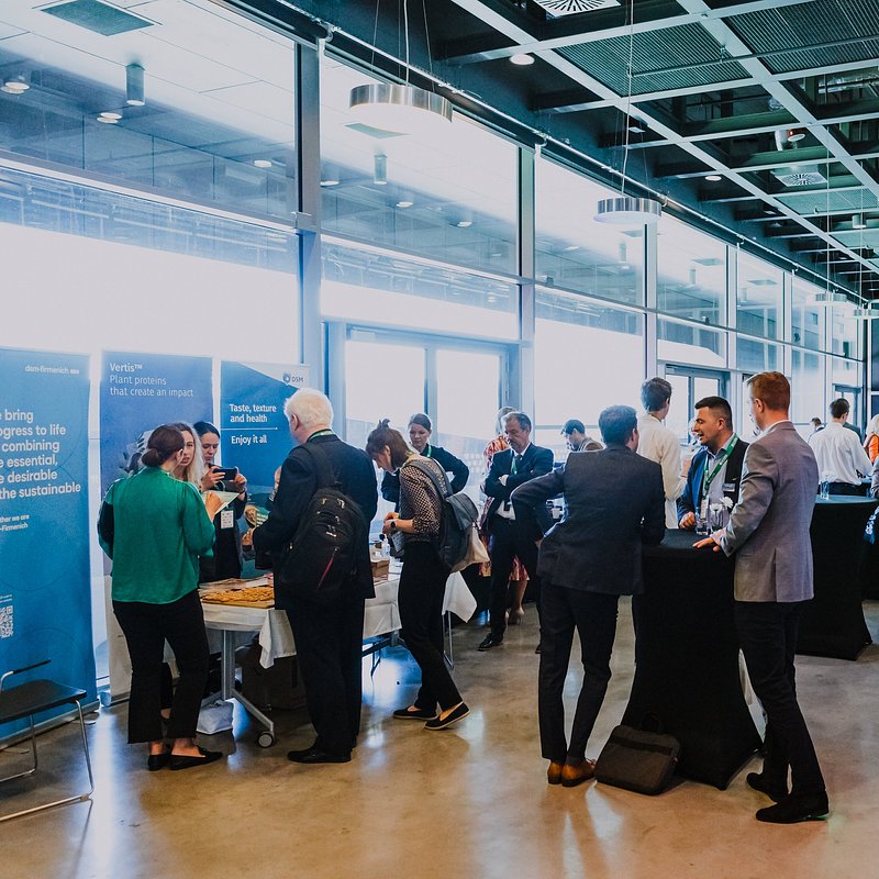 IMG_3665 (1) (1).jpg