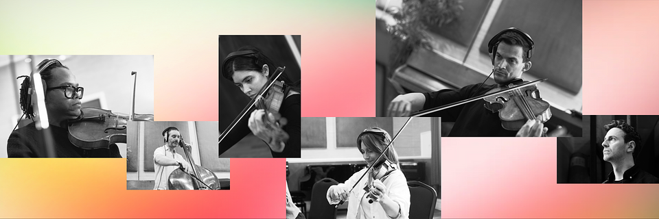 LCO-Producer-Strings-product-page-06-video-fallback.png