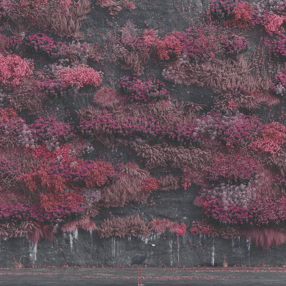 ST_EIA album cover.jpg