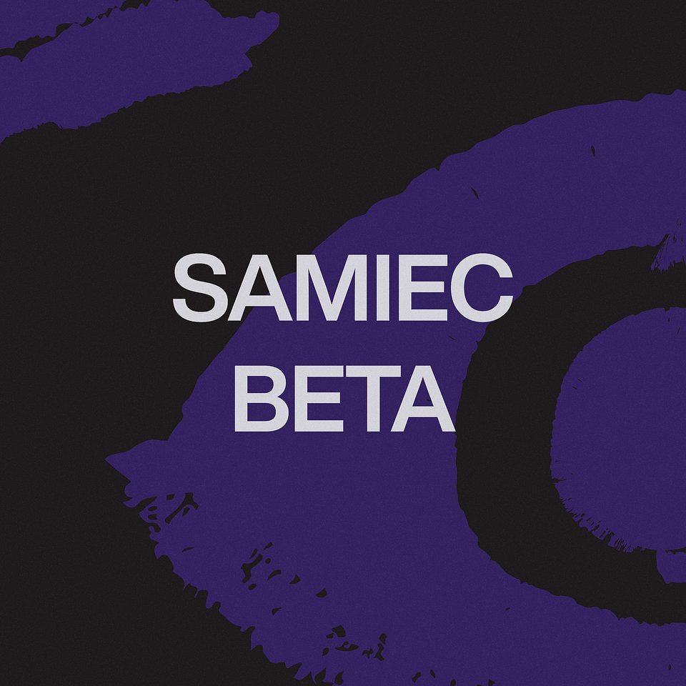 Samiec Beta - COVER.jpg