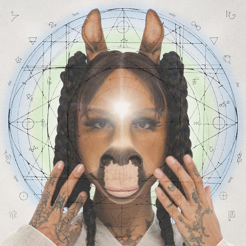 horsegiirL - only the best.jpg