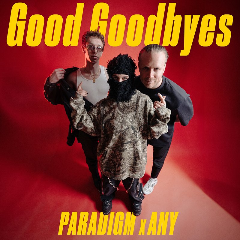 Paradigm x Any - Good Goodbyes.jpg
