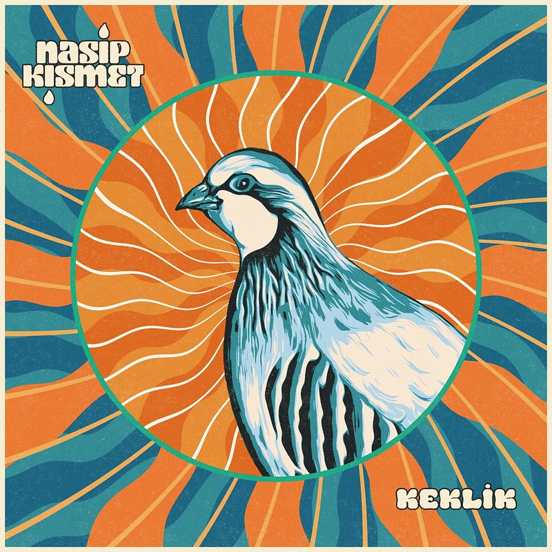 Nasip Kısmet - Keklik.jpg