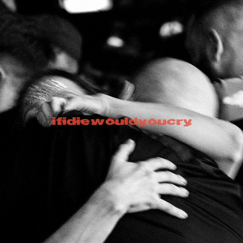 AVAION x BUNT. - ifidiewouldyoucry.jpg