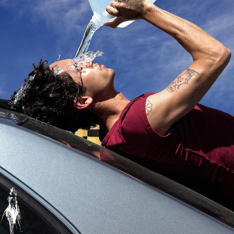 Dominic Fike - Wallflower.jpg