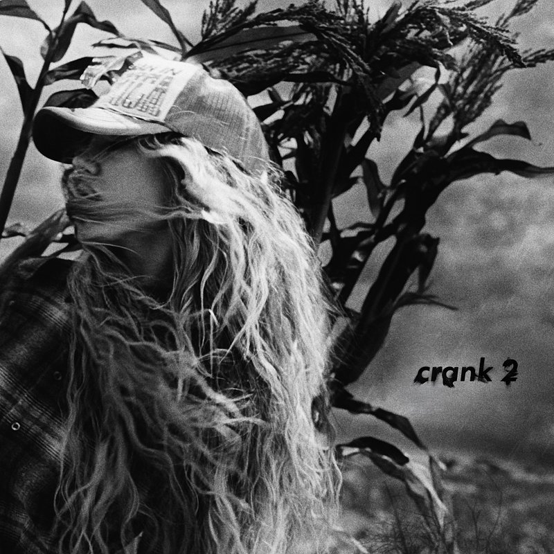 Slayyyter - crank 2.jpg