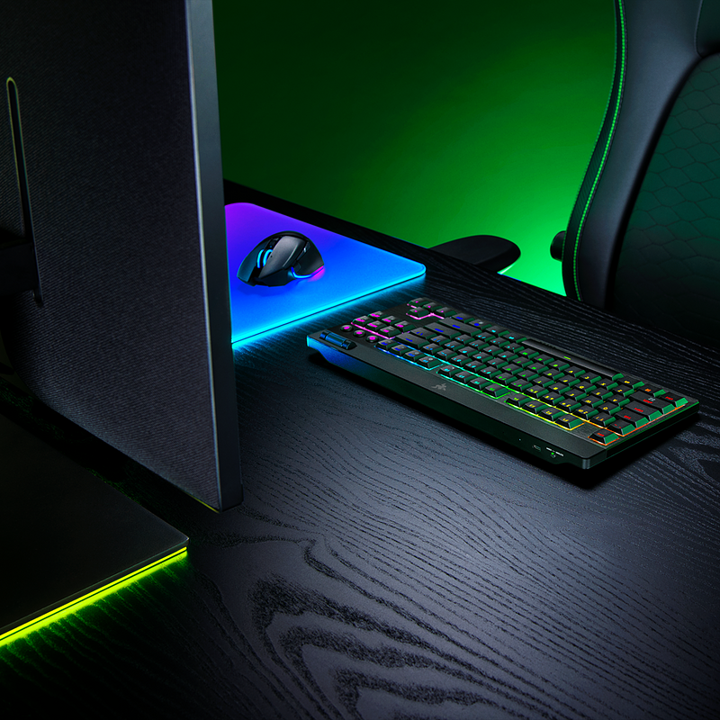 Blackwidow V4-729_TKL_R3_000.png