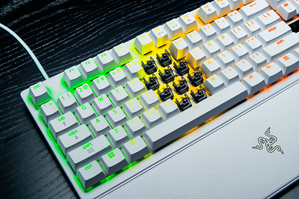 Huntsman V3 Pro TKL 8KHz_White-763_R1.png