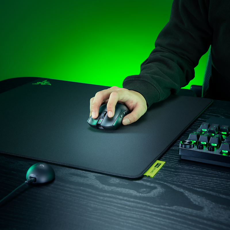 Viper V4 Pro_Image 3.png