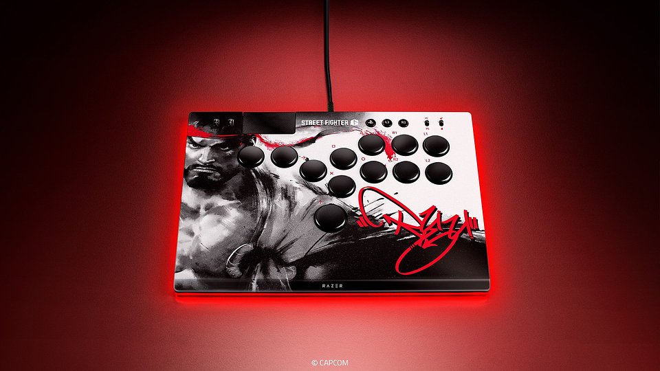 Kitsune Ryu Edition - Detail (2).jpg