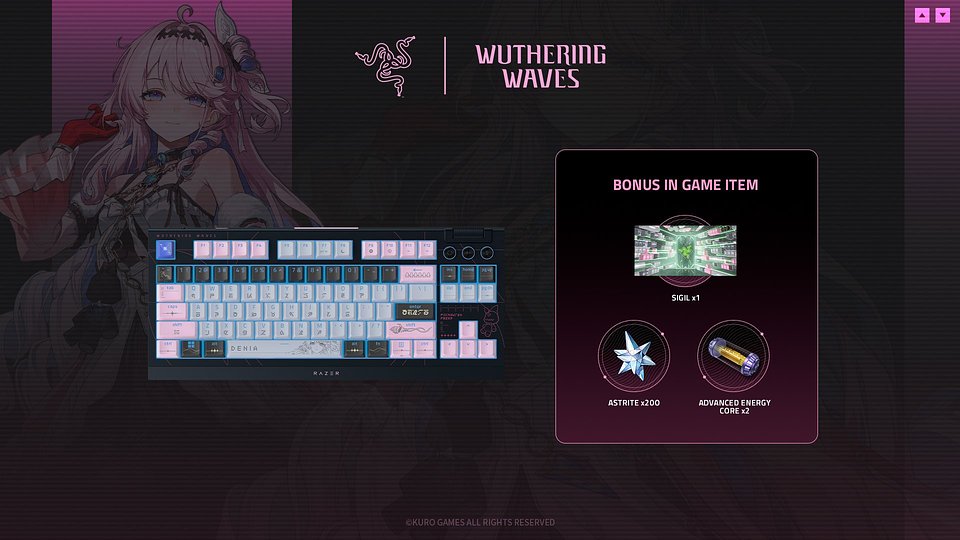 3. Keyboard (BlackWidow V4 TKL HyperSpeed).jpg