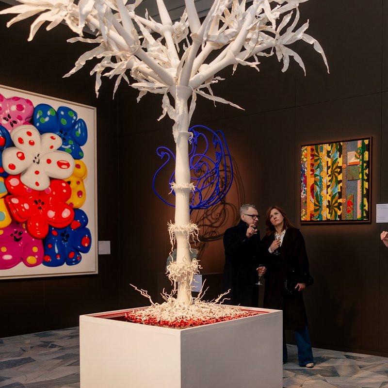 fot. Alex Dolny1fot. Alex DolnyALEX-5.jpg