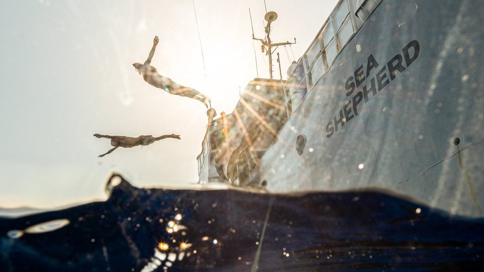 LinkedIn fit for the ocean (2).jpg