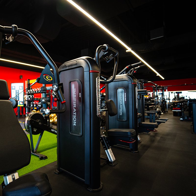 DSC07711 — kopia.jpg