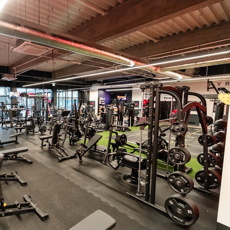 DSC08897 — kopia.jpg