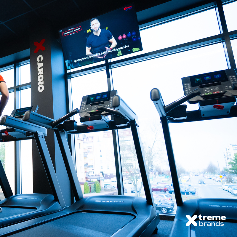 Projekt bez nazwy (28).png