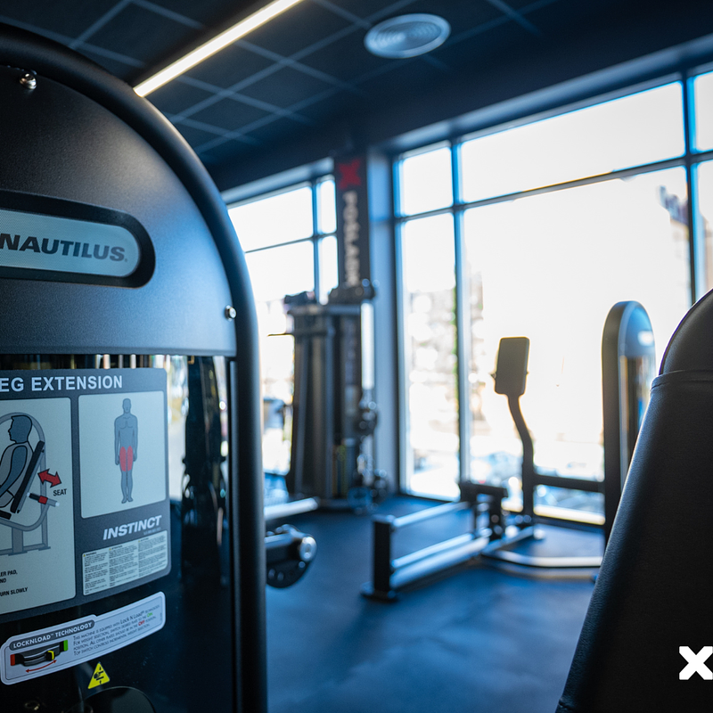 Projekt bez nazwy (11).png