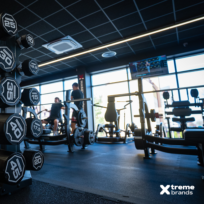 Projekt bez nazwy (15).png