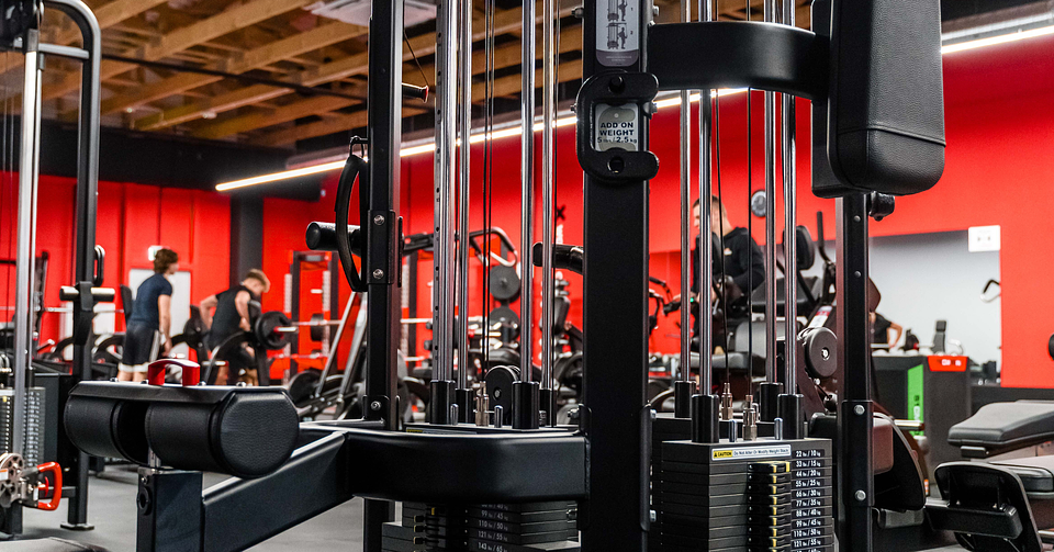 Projekt bez nazwy (8).png