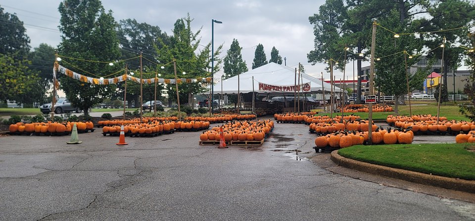 Big Jim’s Punkins at Oak Court Mall offers a classic fall experience in Memphis, featuring hundreds of pumpkins, festive décor, and family-friendly charm throughout the season.