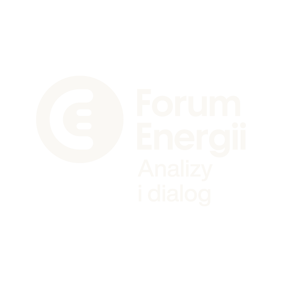 Logo Forum Energii Analizy i dialog_białe