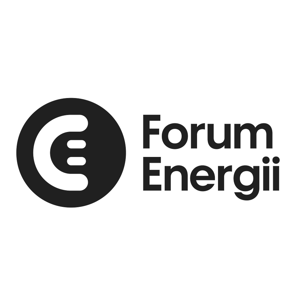 Forum Energii's logo for use in English_black